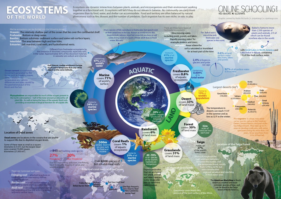 Ecosystems Of The World Are Diverse Networks That Support Wildlife And Plants. Explore The Importance Of Ecosystems For Environmental Balance And Sustainability.